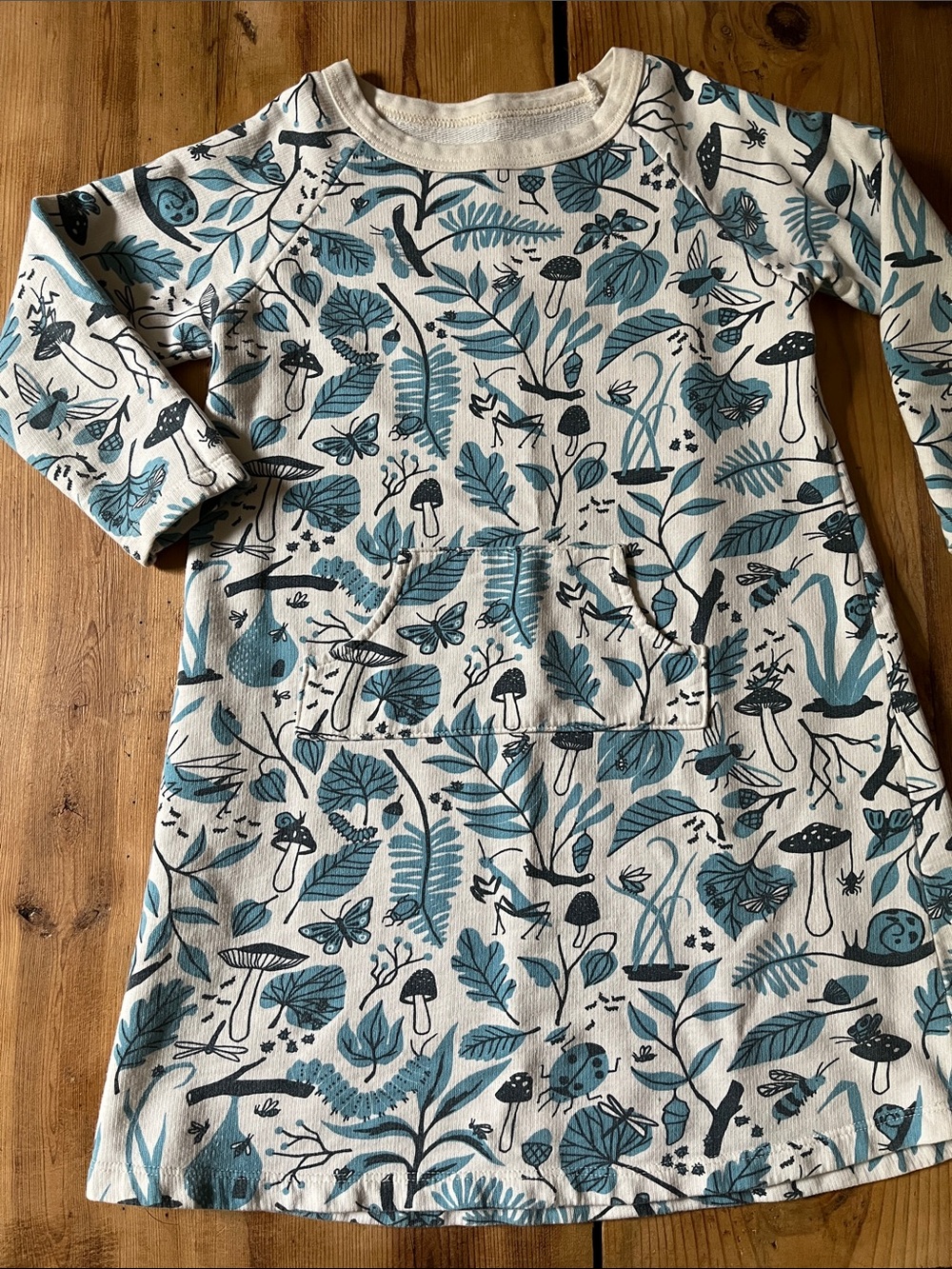 WINTER WATER FACTORY 6 Blue Mushroom Printed Organic A-Line Sweatshirt Dress